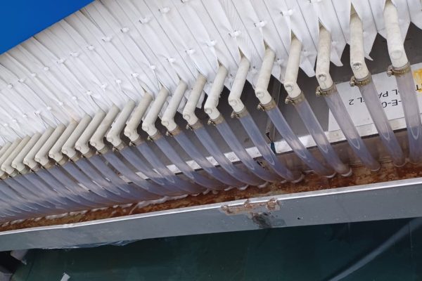 Sludge Dewatering 3
